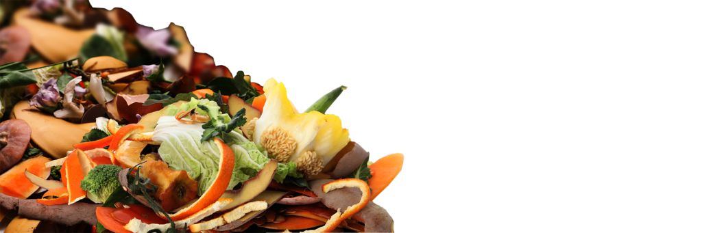 Food for Nature - Ecovim